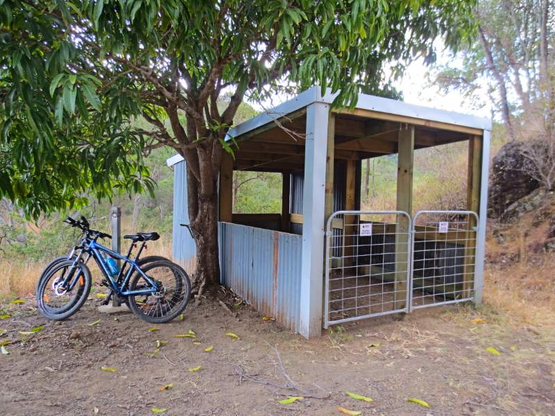 Cycling adventure and murderous magpies on the Brisbane Valley Rail Trail. bit.ly/3oCBRQO #cycling #biking #railtrails #queensland #BVRT