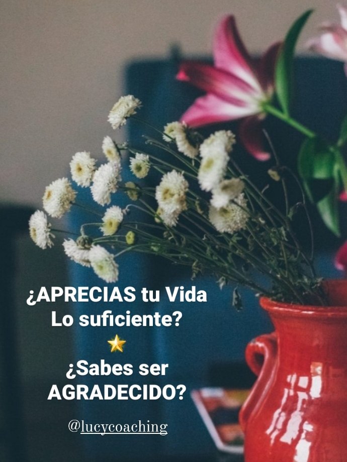 luciasosaleal's tweet photo. #AFINACIÓNDIARIA
#29Oct2020
Siempre hay algo para estar molesto, de qué preocuparse, de qué quejarse; pero también hay mil cosas que #APRECIAR y #AGRADECER.
#MichaelBerg
🌟🌟🌟
#Cuídate💚⚘😷
#ConDios🙏🇻🇪🌍❤
#MiContactoIG @lucycoaching
#Gracias @MECortezH https://t.co/DtaL9B5bUX