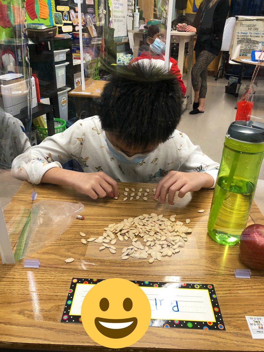 _s_callan's tweet photo. How many seeds does it take to get to the center of a pumpkin? 🎃 Today we skip counted by 10’s to find out how many seeds were in our pumpkins. The most we had was 316!! @BGreenSchool @emeadowschools #bgpride #greathappenshere https://t.co/q7x4CiVQ57