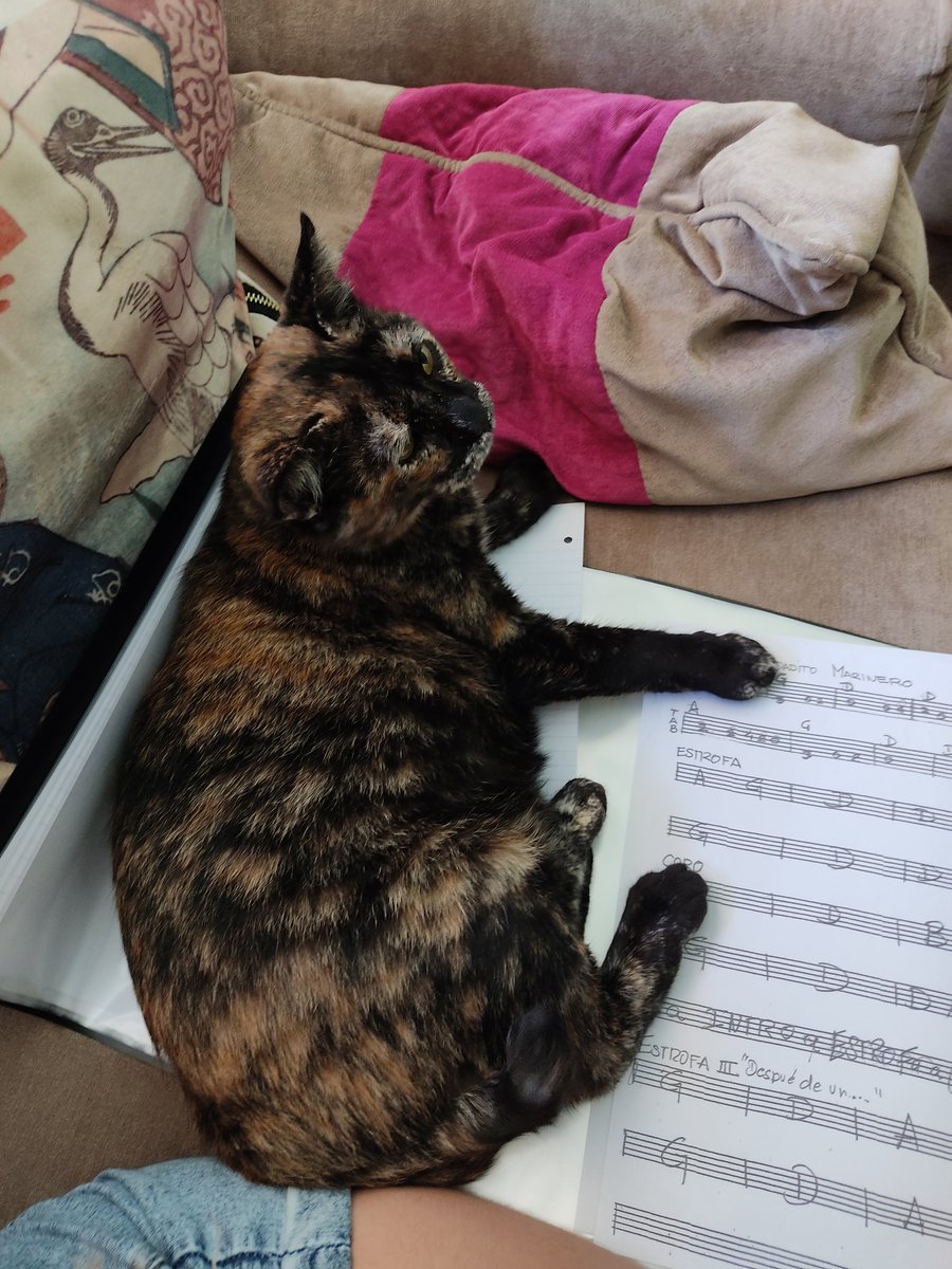 Patricia 😸 tweet media