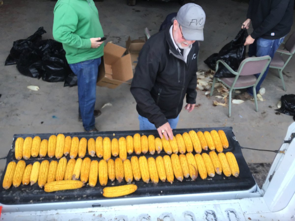 NBlochowitz's tweet photo. Counting ears in one of our FVC research plots #FVCResearch #AcrePlus https://t.co/Ivq1qXm6ze