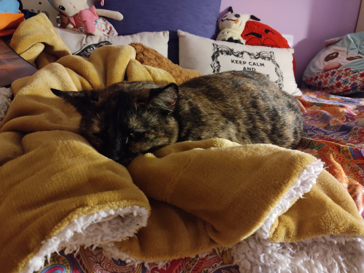 Patricia 😸 tweet media