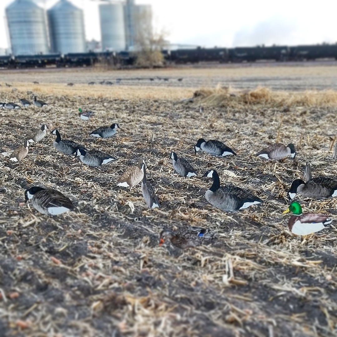 Flat River Outdoors tweet media