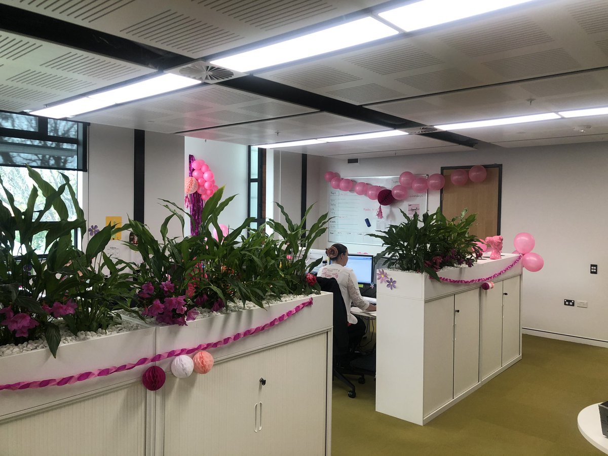 Emerson Pratt (@emersonnz) on Twitter photo Fantastic effort by the <a href="/otago/">University of Otago</a> Shared Services team having fun and raising money for various breast cancer charities. Fantastic effort by the <a href="/otago/">University of Otago</a> Shared Services team having fun and raising money for various breast cancer charities.