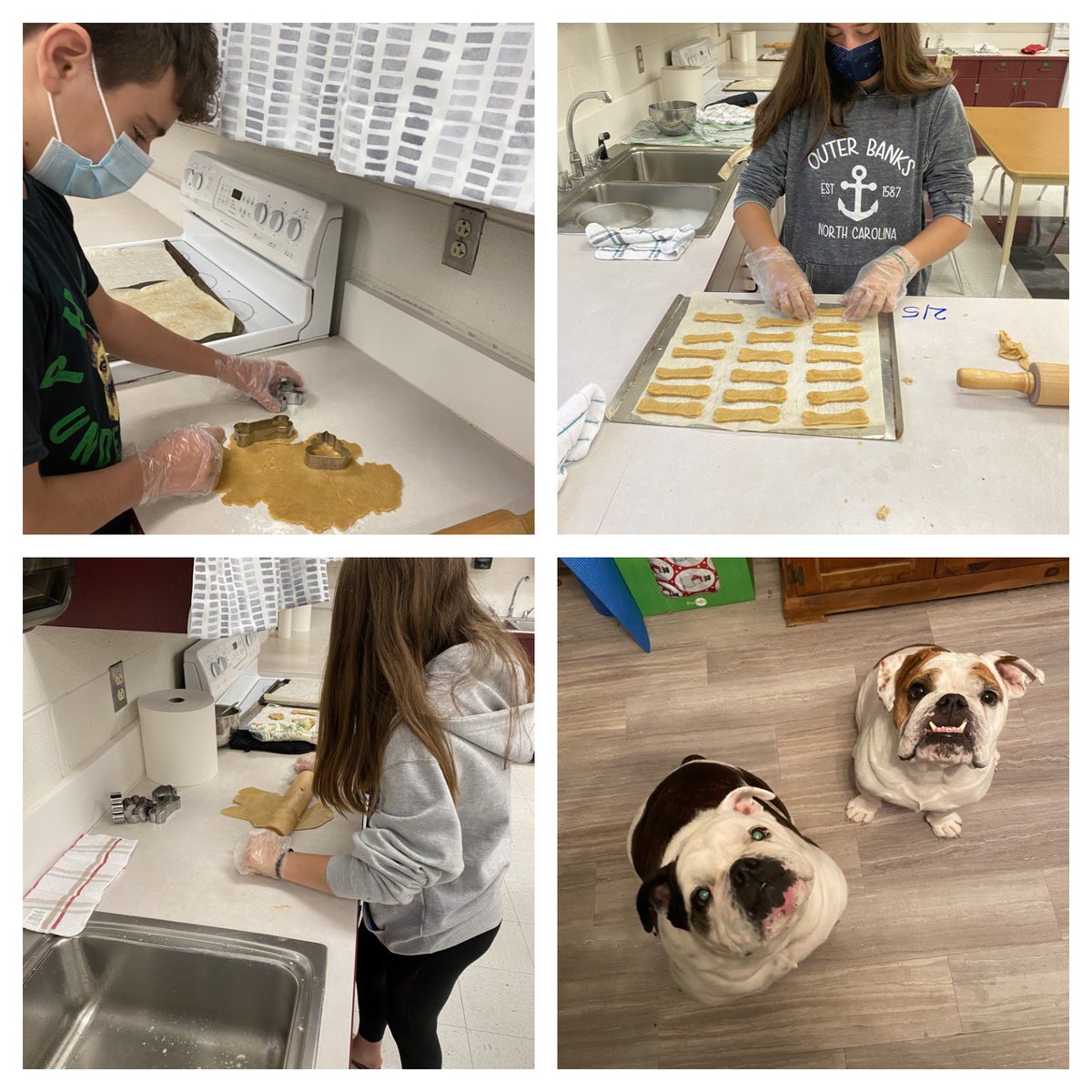 FCS students worked hard for their furry friends this week. They made treats for their own pups and those <a href="/MainLineRescue/">Main Line Rescue</a>. Thanks <a href="/karinmrh/">Team Hencken</a> for connecting us. 🐶🦴