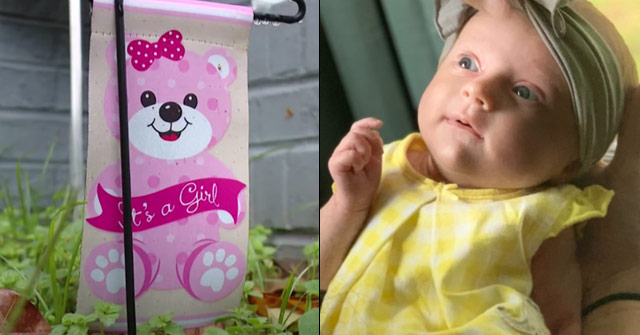 dogsbite's tweet photo. Update on Virginia infant dog bite fatality to honor #InfantSafety. We comment on the parents' GoFundMe that claims the dog was the infant's "brother" and that "Lane," the "hero dog" was only "trying to help.” #Stop #Anthropomorphizing #Dogs https://t.co/auL3Z3JoqR https://t.co/ZbUJ4oV9TT