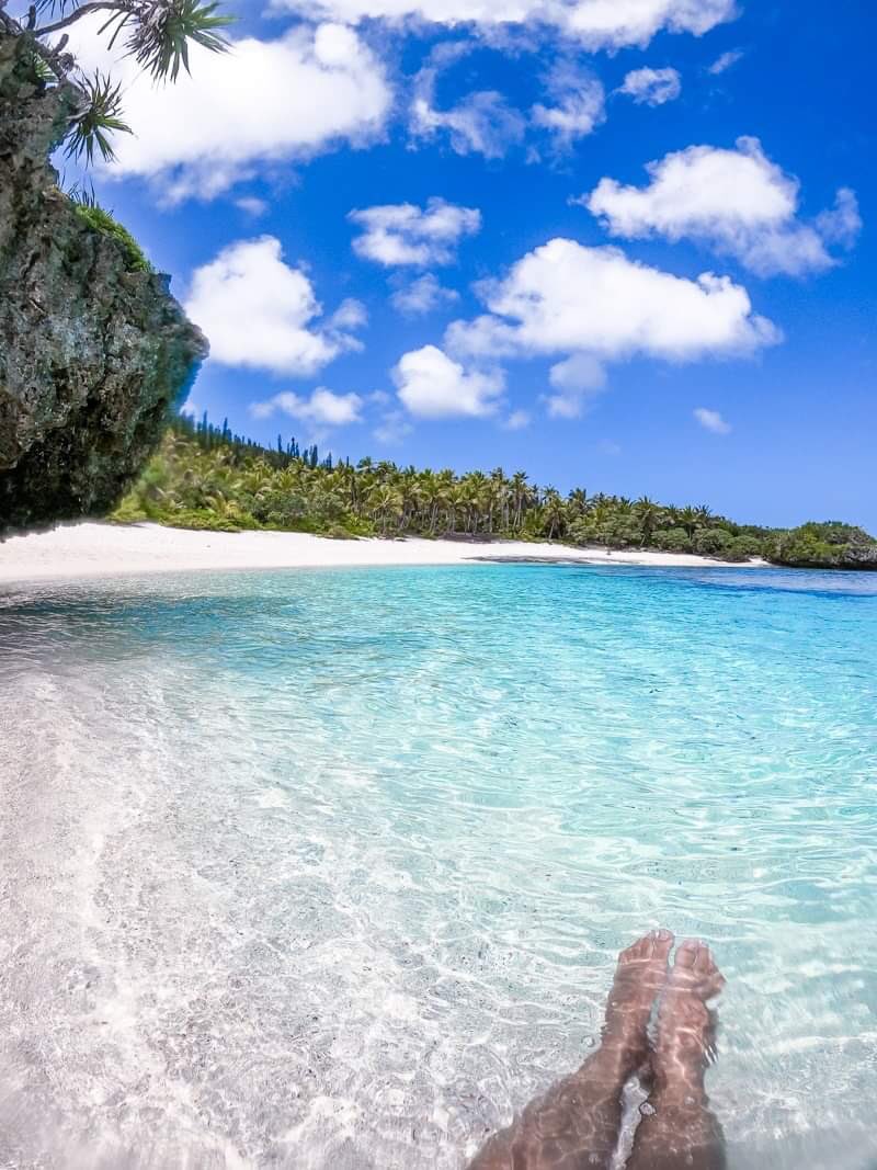 Buenos Viajes tweet media