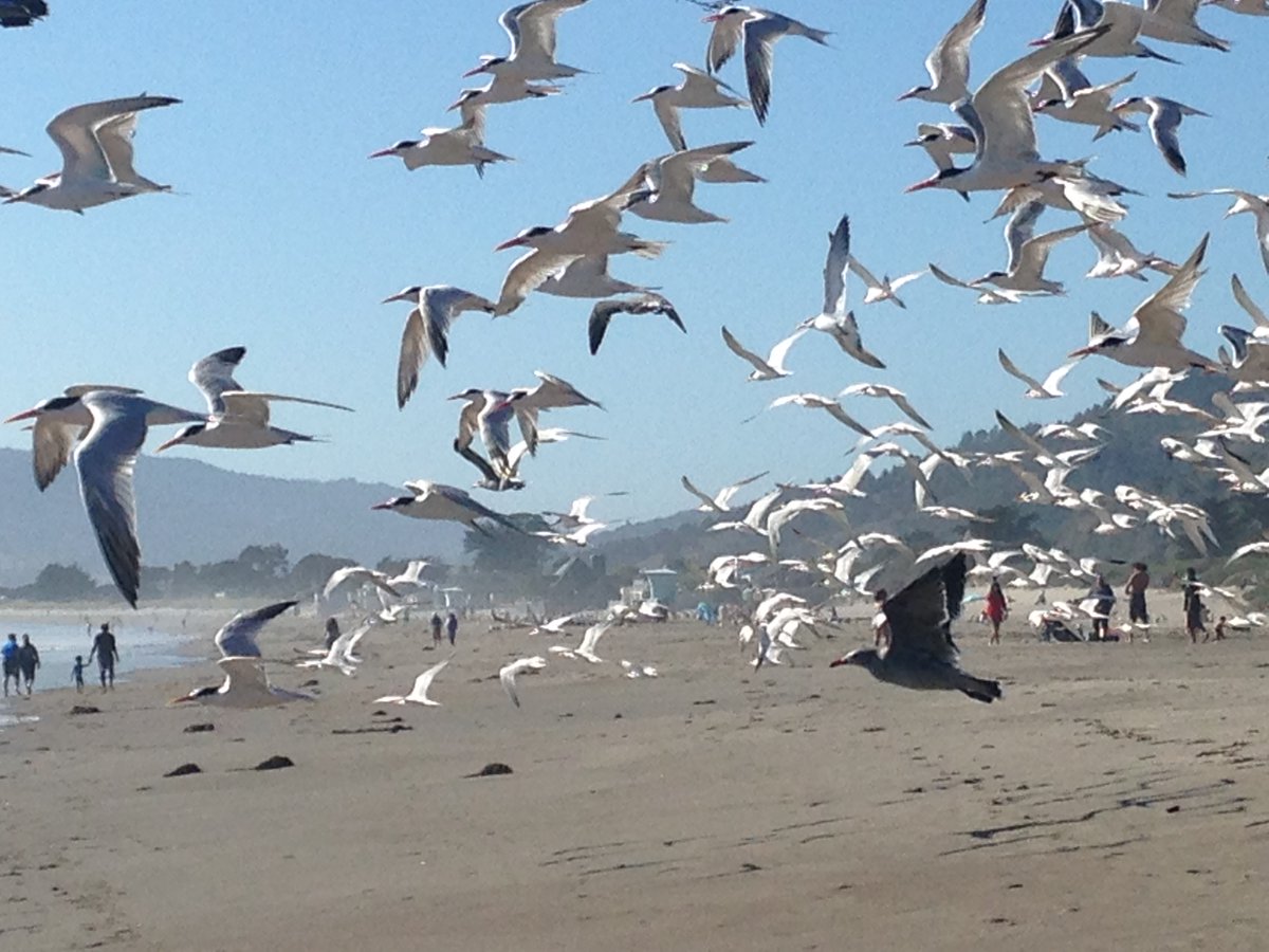 “Currencies are one of the core ways humanity orchestrates activities at large scales. So changes to currencies are fundamental to changing our unsustainable patterns of behavior.”