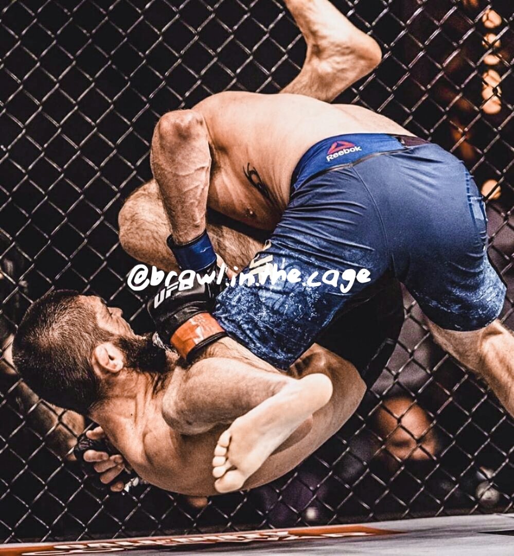 Brawl in the Cage tweet media