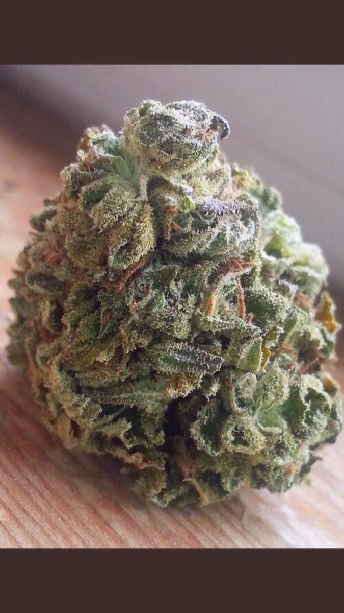 dirtybanger tweet media