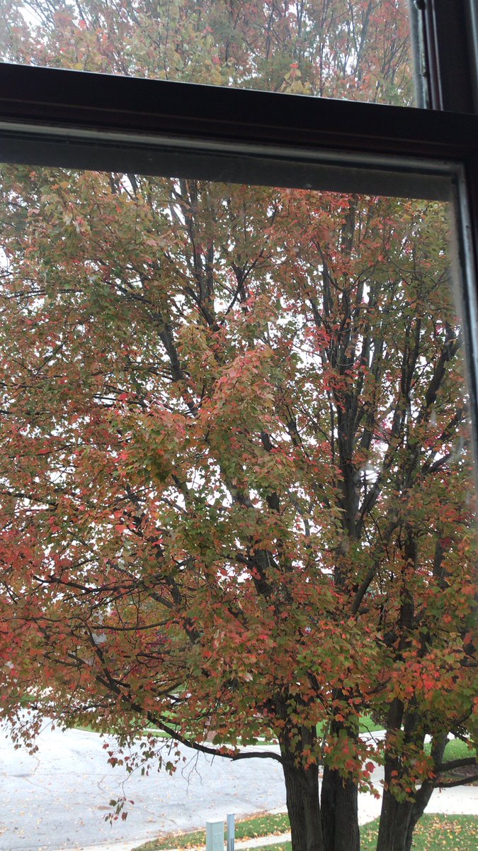 HRRVC's tweet photo. Today’s office view! What does it look like where you are today? #RVTravel #RVClub #Fall https://t.co/V4Q6Z3JoJM