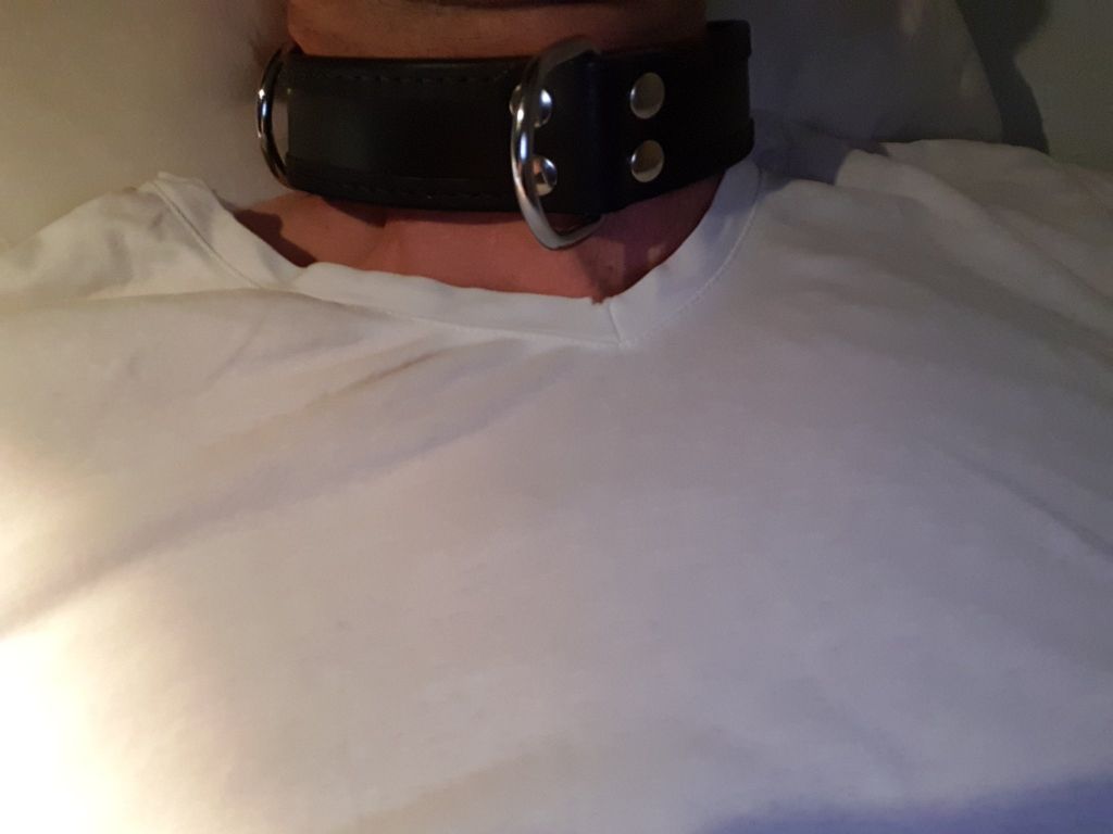 DS10325802's tweet photo. Wer will wie meine Halsband cashfozze hart abgezockt werden?
 #cashsau #cashfozze #cashmaster #cashmasterD #findom #paypig #payslave #cashletter #cashbrief #geldsau #finsub #cashandgo https://t.co/WuKv8DJYnO