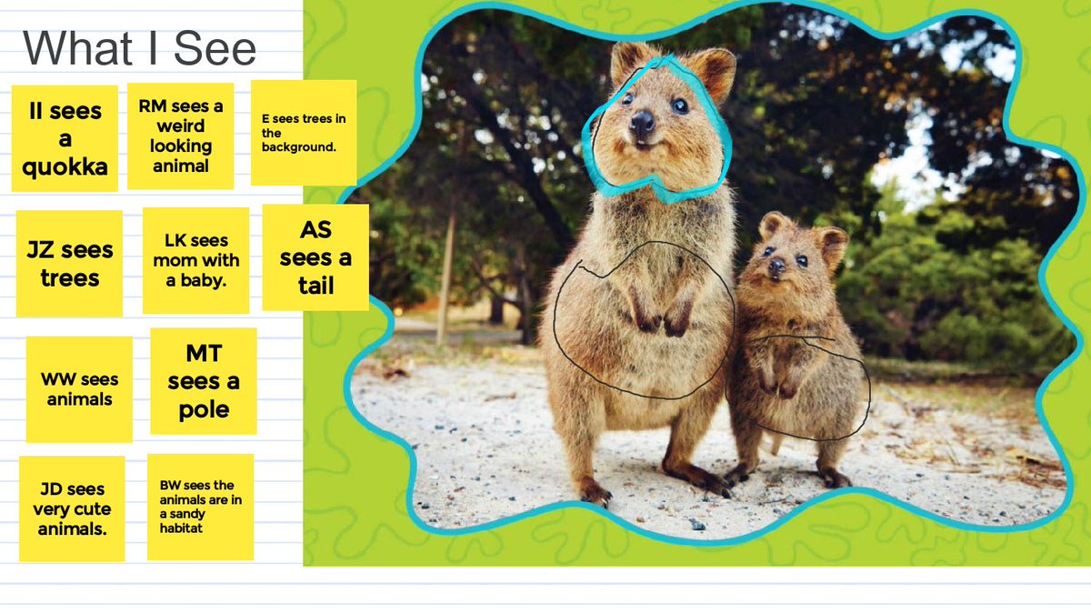 Is cuteness an adaptation that helps some animals survive? 
One <a href="/BonnieBraeES/">Bonnie Brae ES</a> group's fun start to the exploration of animals and their amazing adaptations using @Jess_Keating's World of Weird Animals series.