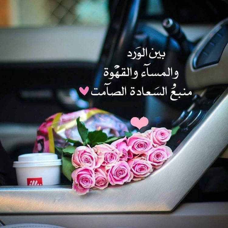 <a href="/ms7062salmhmlo/">Salwa Hafead1🌜سيدة روحي🌛🇮🇶</a>