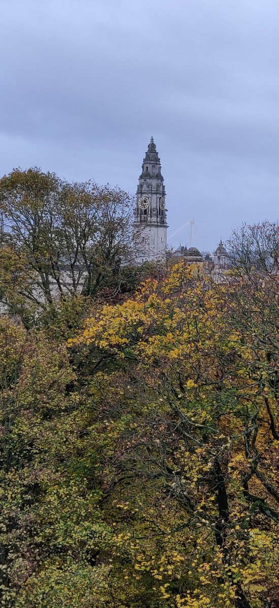 stephenl20151's tweet image. Beautiful Autumnal colours in Cardiff this afternoon. #BAMConstructUK