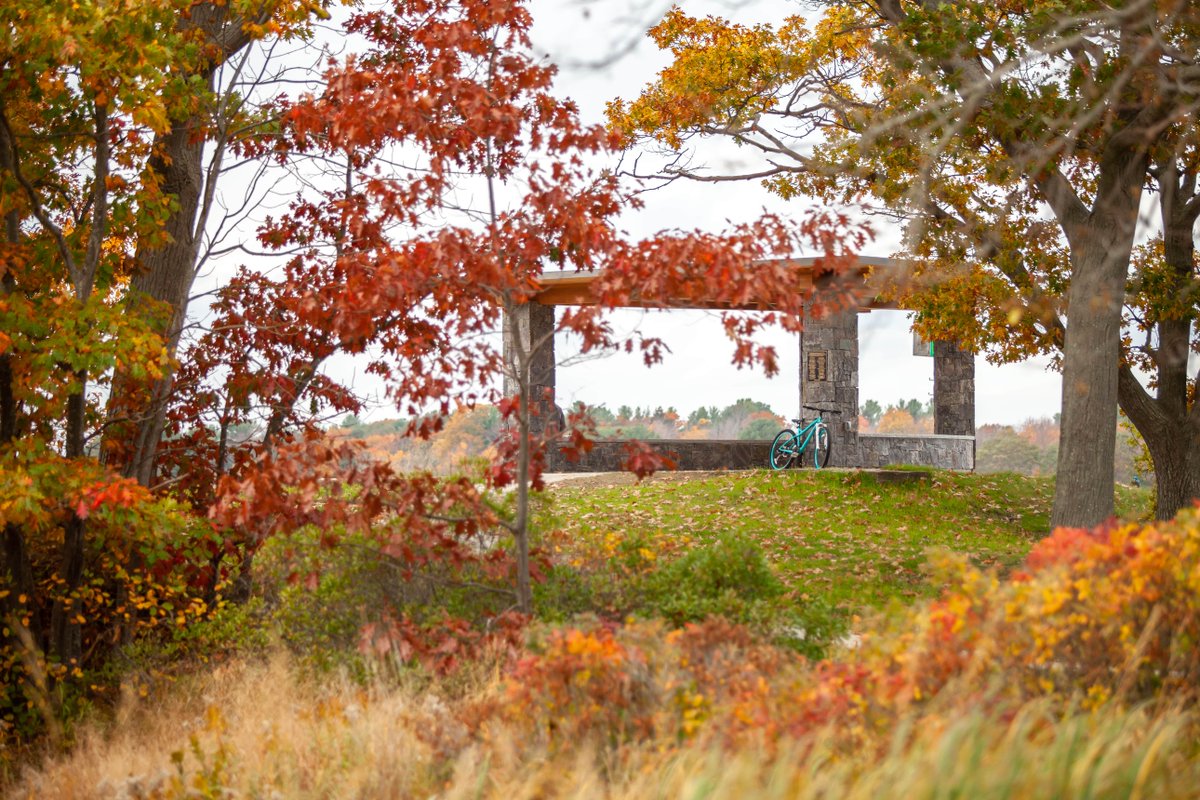 ✔️  One #EarlyAction advantage: de-stress! Once you know where you'll be going to college, you can spend the rest of your year focused on finishing high school right.

🗓️  Apply #EarlyAction by Nov. 15 ➡️  <a href="/CommonApp/">Common App</a>, <a href="/mycoalition/">Coalition for College</a> app, or the UNE app: connect.une.edu