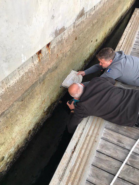 GibMarine's tweet photo. Very pleased to have introduced #vertipools into the Mediterranean in #Gibraltar harbour. Certain that theyβll make a fine contribution to biodiversity in the Port. More to come! @ArtecologyDept @gonhsgib @NautilusGib @ThinkingGreenGI https://t.co/O1GRfqFhew