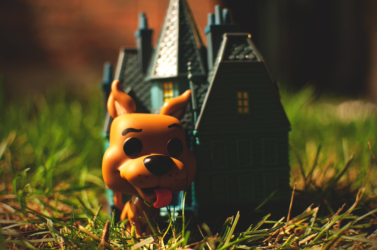 richiearells's tweet photo. Day 11. Pet Day.

Scooby Doo.

#Funko #FunkoPhotoADayChallenge #FunkoPhotoADay #Funkoween #FunkoOctoberChallenge #FunkoFamilyAtHome #PetDay #ScoobyDoo @originalfunko

https://t.co/Ivj88WvuNo https://t.co/zdLnl2RRRc