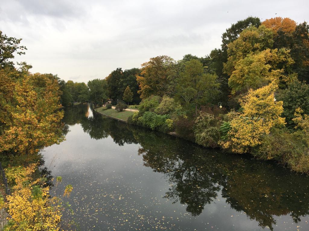 WelcomeChurchDE's tweet photo. Eines der vielen tollen Dinge an Berlin ist, dass es so viele Bäume gibt! 🌲🌳 Und im Moment sehen sie besonders schön aus 🍂🍁 

#autumninberlin #loveberlin #jesuslovesberlin #welcomechurchberlin https://t.co/Td8WT0B0Au