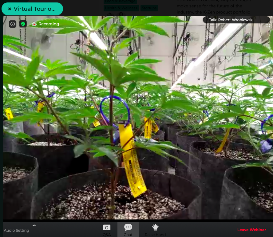 growthevent's tweet photo. We're LIVE for a #virtualtour of @seedandsmith now! #GrowthFromHome #bts https://t.co/6Vo4ijaImO