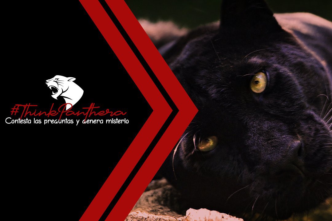 PantherUChicago's tweet photo. ¡#ThinkPanthera🐆 vuelve con sus preguntas misteriosas! ¿Están listos? Lo único que tienen que hacer es dar MG a este tweet para recibir las indicaciones y Baby Panthera pondrá sus garritas en acción. ¡A jugar! https://t.co/L4ugbb1O7a