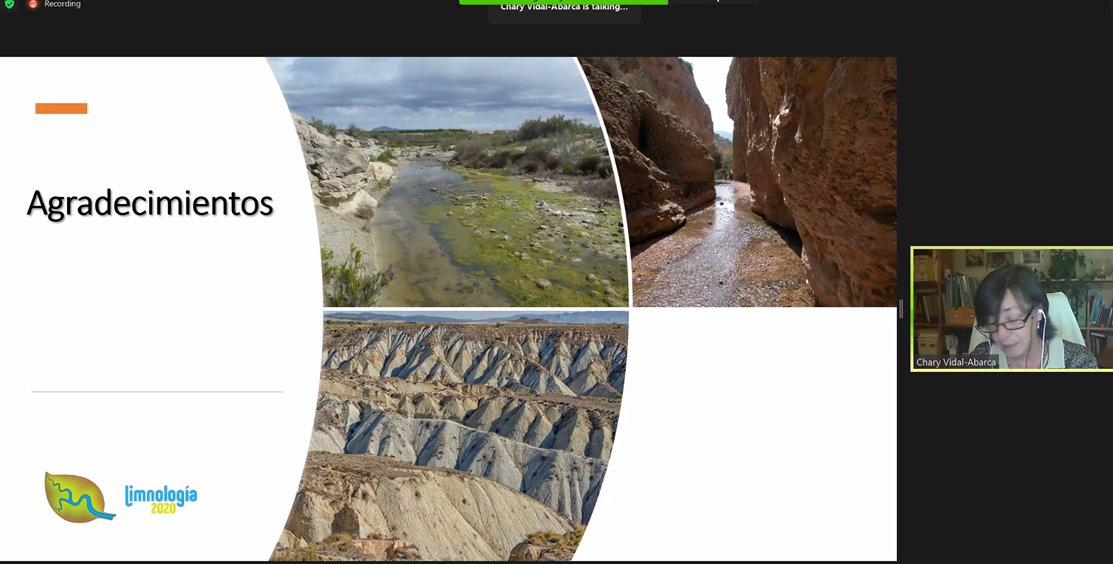 Amazing talks, 283 participants, 21 countries, high diversity of topics, gender-balance, smiles everywhere and plenty of great science around limnology.
We close our 1st virtual meeting with great success. Thanks everybody. Thanks the Organizing Committee for the enormous effort!