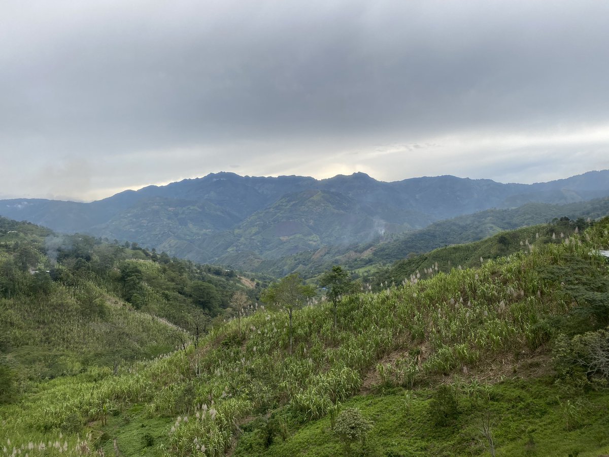 goyo_ducat's tweet photo. #colombiacorre @colombiacorre @trailperu2 #200kincatrailrace #virtualchallenge2020 @1Trailrunning @trailruncol @MeEncantaCorrer @ElegiCorrer @ManicomioRunner @EntreRunners @MontanasCol https://t.co/x62aEHJu4p