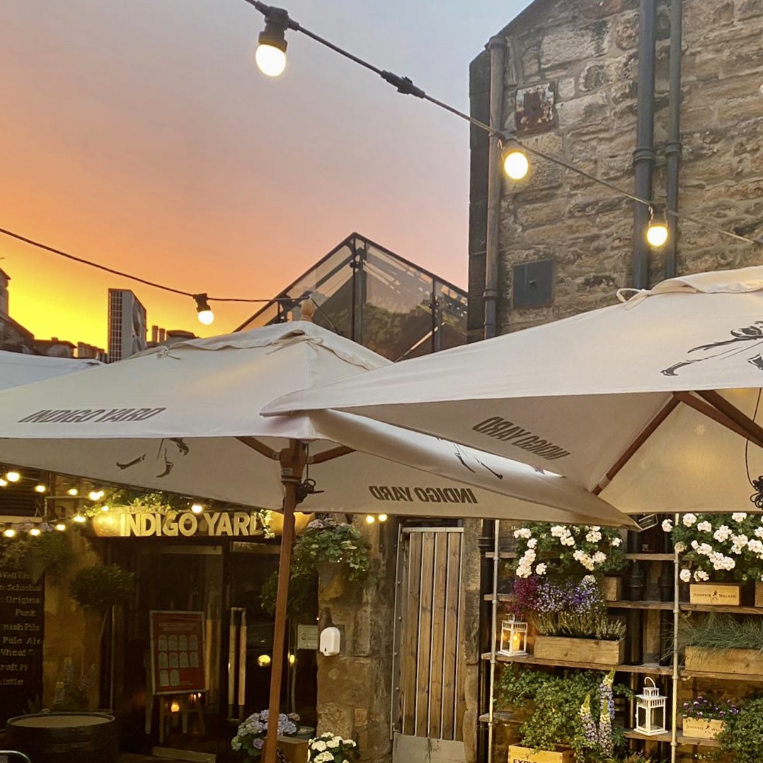 Indigo Yard tweet media