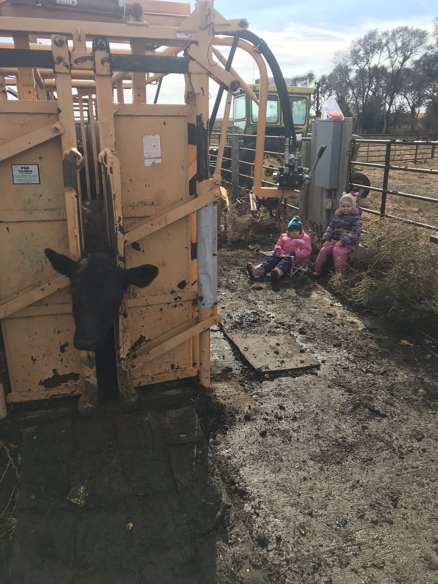 Tales from the Feedyard (Uncensored) tweet media