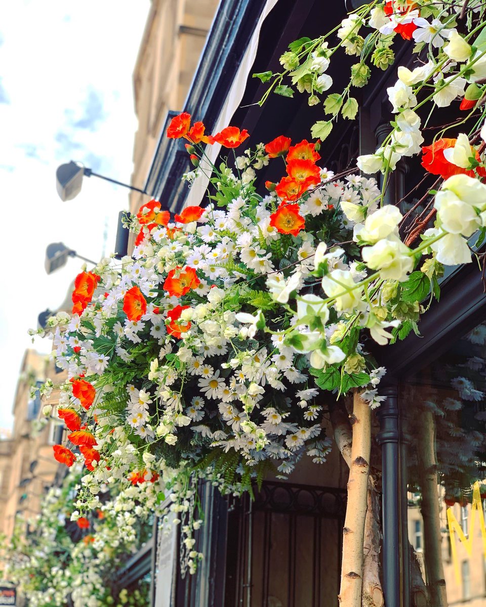 Indigo Yard tweet media