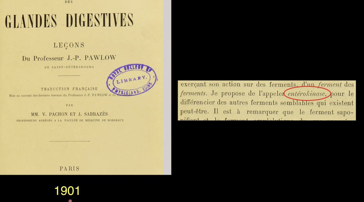 Claudia Moreno tweet media