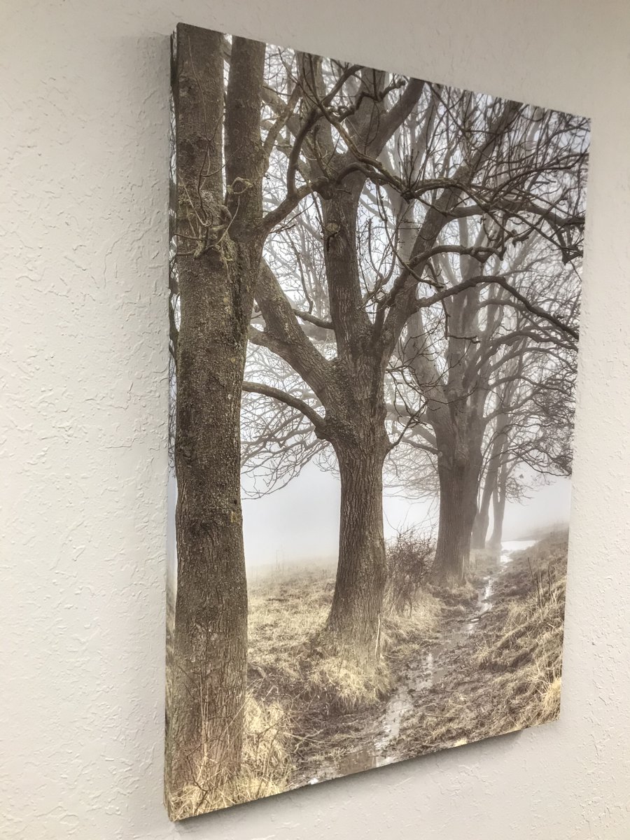 Docutron's tweet photo. This photo produced today on a polyester production canvas.  I've long favored our fine art cotton canvas so I didn't expect to like this as much as I do.  It's easy to work with and seems quite durable. #canvas #digitalprinting https://t.co/KjZ9jsdSxU