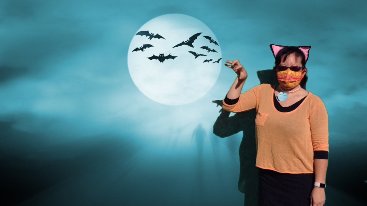 SDPublicLibrary's tweet photo. Get a picture taken with a spooky background of your choice when you visit the #pacificbeachlibrary today from 9:30 am - 1 pm & 2 - 5:30 pm for their #spoketakular 🚲🎃. Arrive by bike & receive a special gift! Pick up some contactless treats & crafts! https://t.co/rB77V9478y