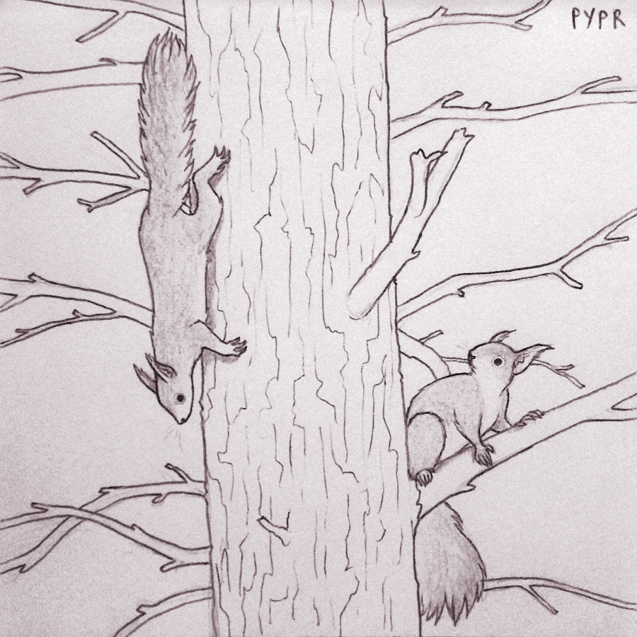 pyprart's tweet photo. Red squirrels as 28th prompt of Wild October challenge, "Acrobats". Based on Jeff Cohen's photo.

#wildoctober #wildoctoberart #inktober #inkdrawing #inkart https://t.co/quE6y8WxQK