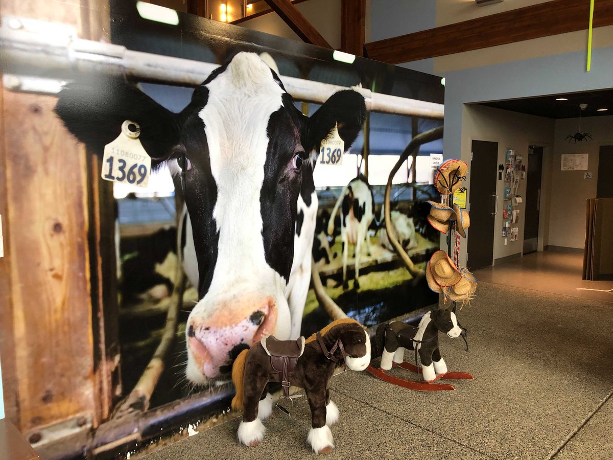 farmershive's tweet image. Today was an exciting day to share Farmer&apos;s Hive with the EcoDairy team #Iloveecodairy #farmershive