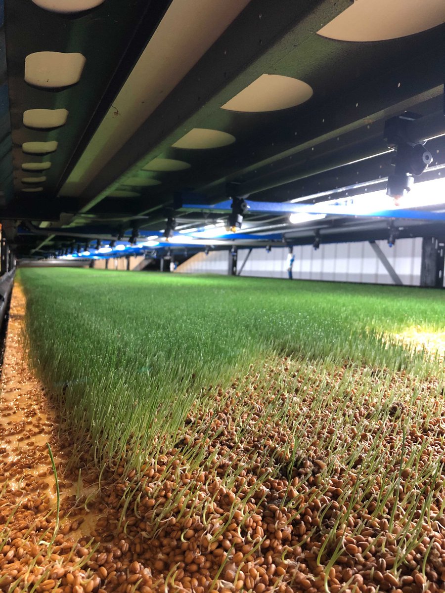 farmershive's tweet image. Today was an exciting day to share Farmer&apos;s Hive with the EcoDairy team #Iloveecodairy #farmershive