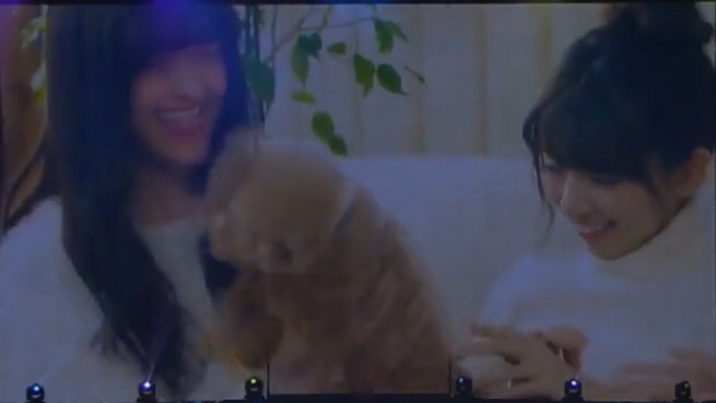 たっつん お願いだから橋本奈々未卒コンの御三家によるthreefold Choiceの時流れてたこの可愛い映像フルで見せて欲しい この白石麻衣 橋本奈々未 松村沙友理の可愛い映像が世に流れないの勿体なさすぎる 全世界のまいやん ななみん まっつん推しが待望し