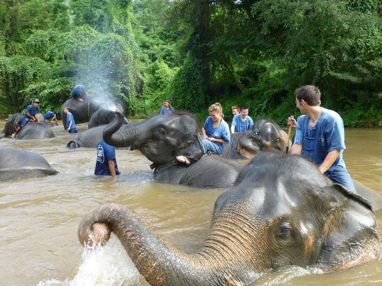 angela_v_a's tweet photo. Mi lugar especial, sería aquel en el que puedo estar rodeada de mis personas favoritas. Elegiría entre todos los del mundo,  un lugar lleno de animales, con playas y una vegetación muy variada.
Lugar soñado: TAILANDIA.
@marta_cartima @RaquelCartima @proyectocartama #escritober https://t.co/o4ycdEJUjl