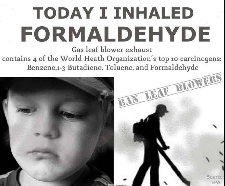 MontgrainL's tweet image. Right, if you are smelling it, you are ingesting it these carcinogenic hydrocarbons. Long term exposition to noise is also known to cause all kinds of health effects. Low frequency (100 dB) noise from leaf blowers can get through walls and windows. #leafblowerban