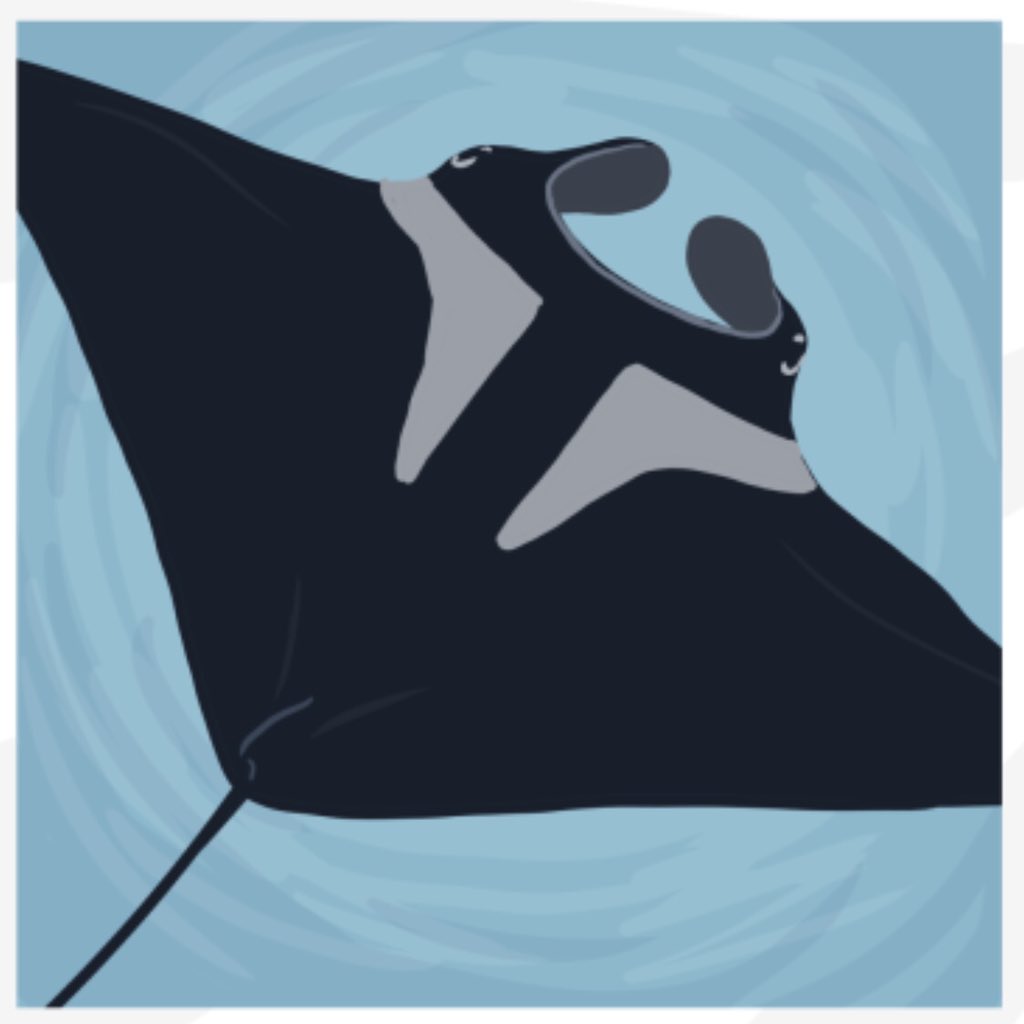 AmazingWildPod's tweet image. Learn about the sea creature sometimes known as the “Devil Ray” on the latest episode:
amazingwildlifepodcast.com/2020/10/28/man…