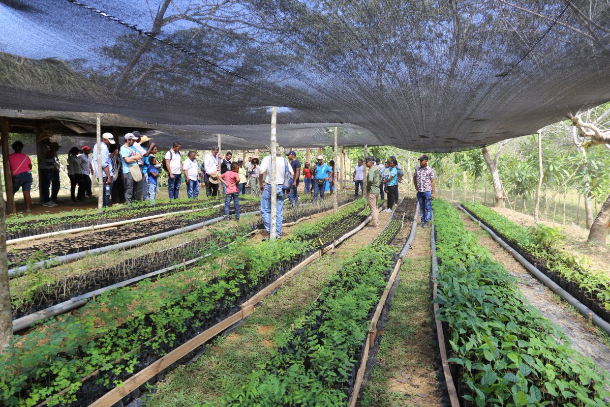 JBGP_Cartagena's tweet photo. El proyecto postulado, “Conectando y propagando participativamente el bosque seco tropical en los Montes de María” fue realizado entre 2019 y 2020 con #ASOPAGRO-SDM y #ProgramaRiquezaNatural de #USAID. Junto con la comunidad logramos: #ProteccióndelAgua https://t.co/H56BBwnxOX