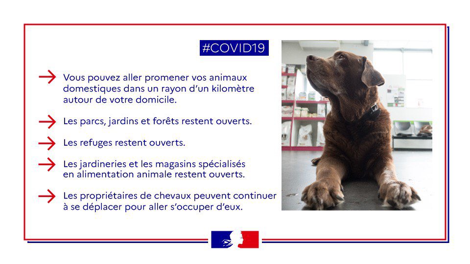J_Denormandie's tweet image. #COVID19

Pour prendre soin des animaux ⤵️