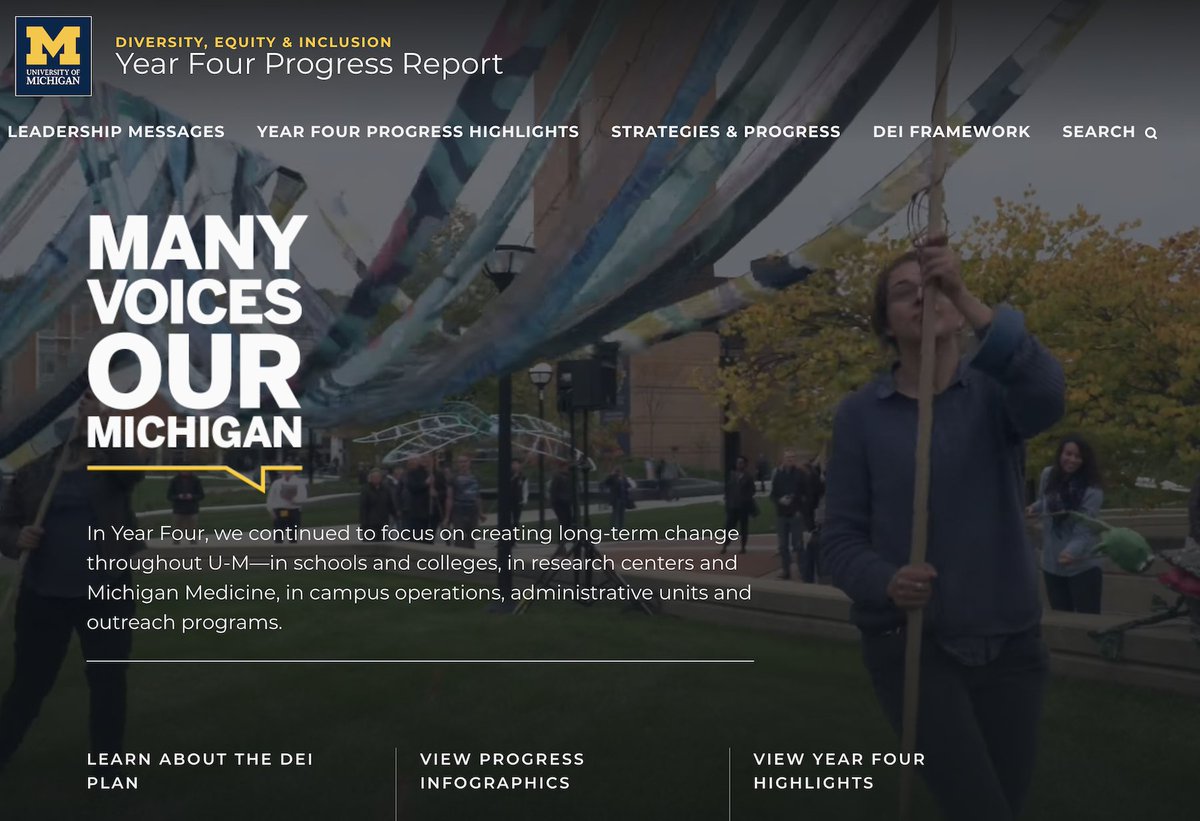 UMichDiversity photo