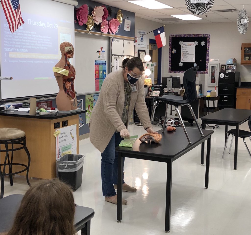 NISDFolks's tweet photo. Mrs. Purtell had her entire class engaged as she demonstrated how the human digestive system works with the help of her mannequin Larry. Eeewww’s and omg’s were all I heard from her students. 😆 I’m sure they won’t forget it. Great job Mrs. Purtell! #FolksStrong #sciencerocks https://t.co/Pbz18zv1qh