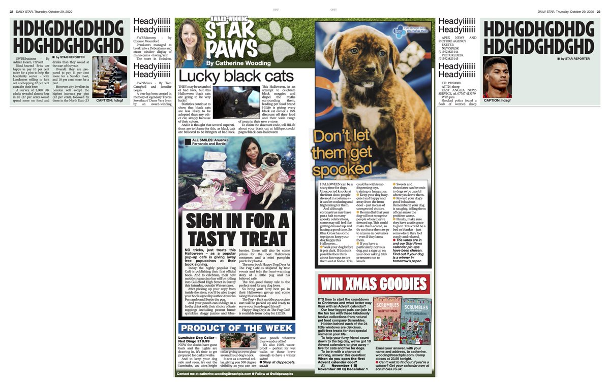 clambofficial's tweet photo. Spookily good treats for cats and dogs, in today's column.

Plus, a must-have light-up collar for those darker walks and top tips for a happy Halloween!

Only in today's @dailystar! 🗞 https://t.co/t070rFZmwr