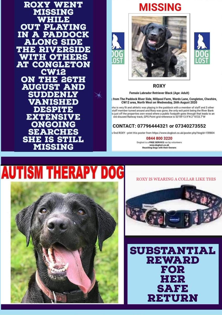 joannew0112's tweet photo. Thank you @News_Fletch and @GranadaReports for sharing Roxy's story
For all your followers here are her details
#findroxy #supportdog #Congleton #Cheshire
#scanme
Her Facebook group https://t.co/X8EjJRG2wb https://t.co/ExV5qID42H