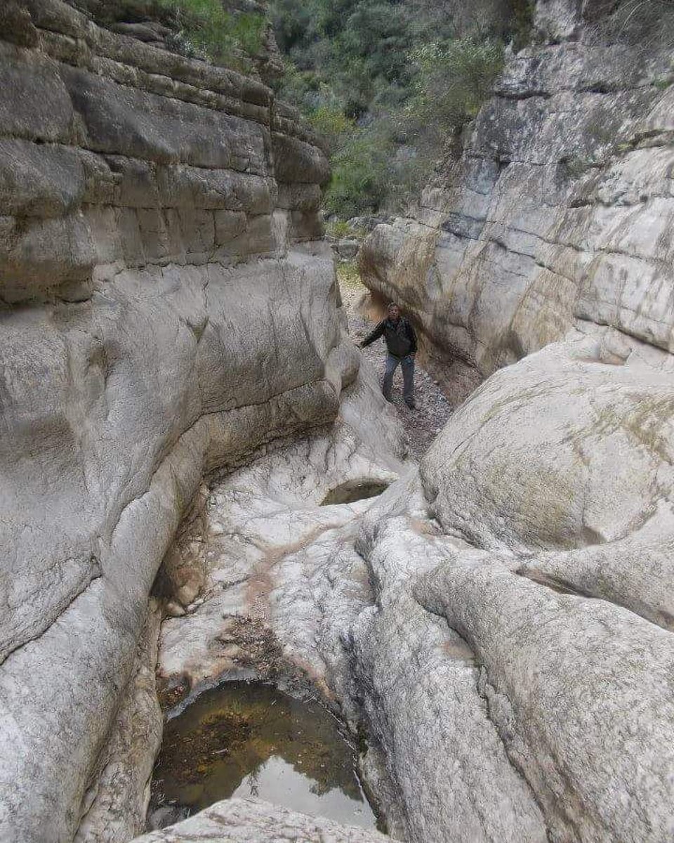 Mar_i_Muntanya's tweet photo. 💚🚶♂️🚶♀️ Caminar entre les parets esculpides per l'aigua durant milers d'anys és una #catalunyaexperience que pots viure als #estrets del riu #Llastres. Com podeu veure a les imatges, no us deixaran indiferents. Us agraden?
📸 Fotos: Xavi Sugranyes, Pepi González, Luca Trentin https://t.co/Rv23Y211xJ