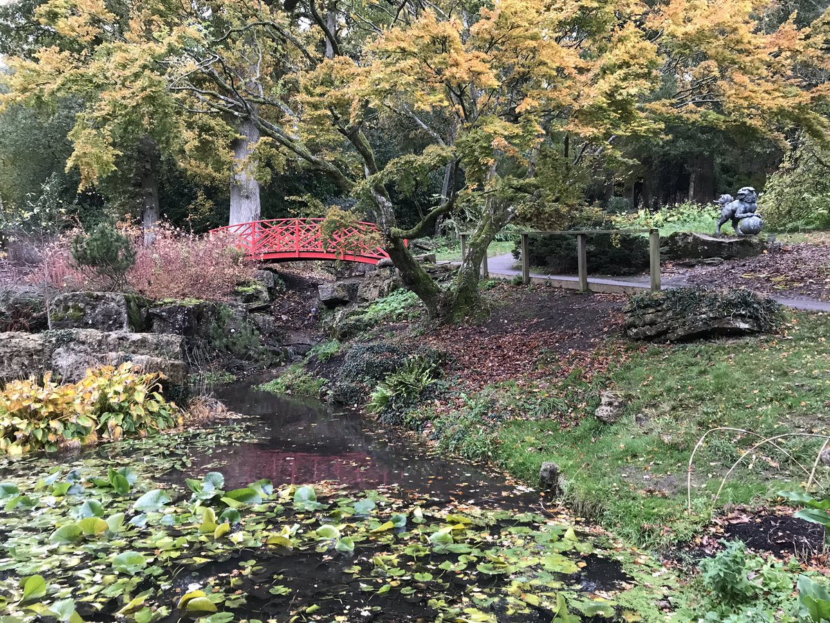 BevColey's tweet photo. Just love the colours of Autumn https://t.co/vwwQ4eu8mN