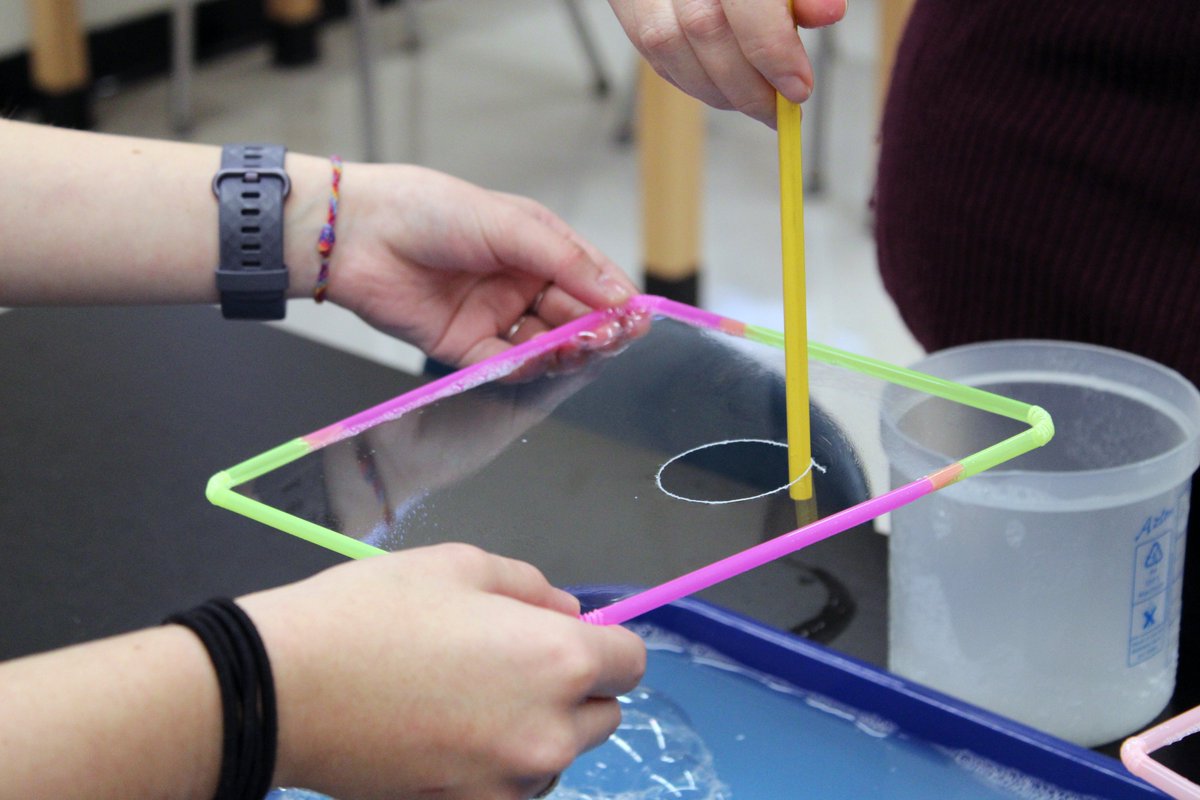 What’s the connection with soap bubbles and Patricia Hoover’s middle school Living Environment class? A fun lab called, “The Cell Membrane Bubble Lab,” which uses bubbles and straws to investigate the properties of cell membranes.  ms.ws.k12.ny.us