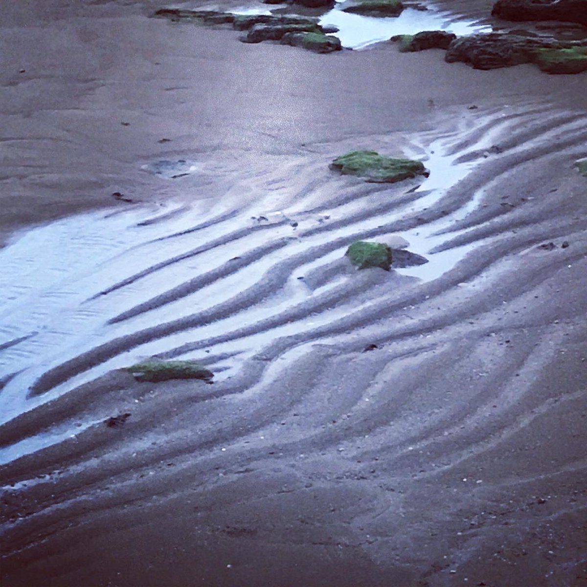 AlCrop's tweet image. Love a wild, windy walk.